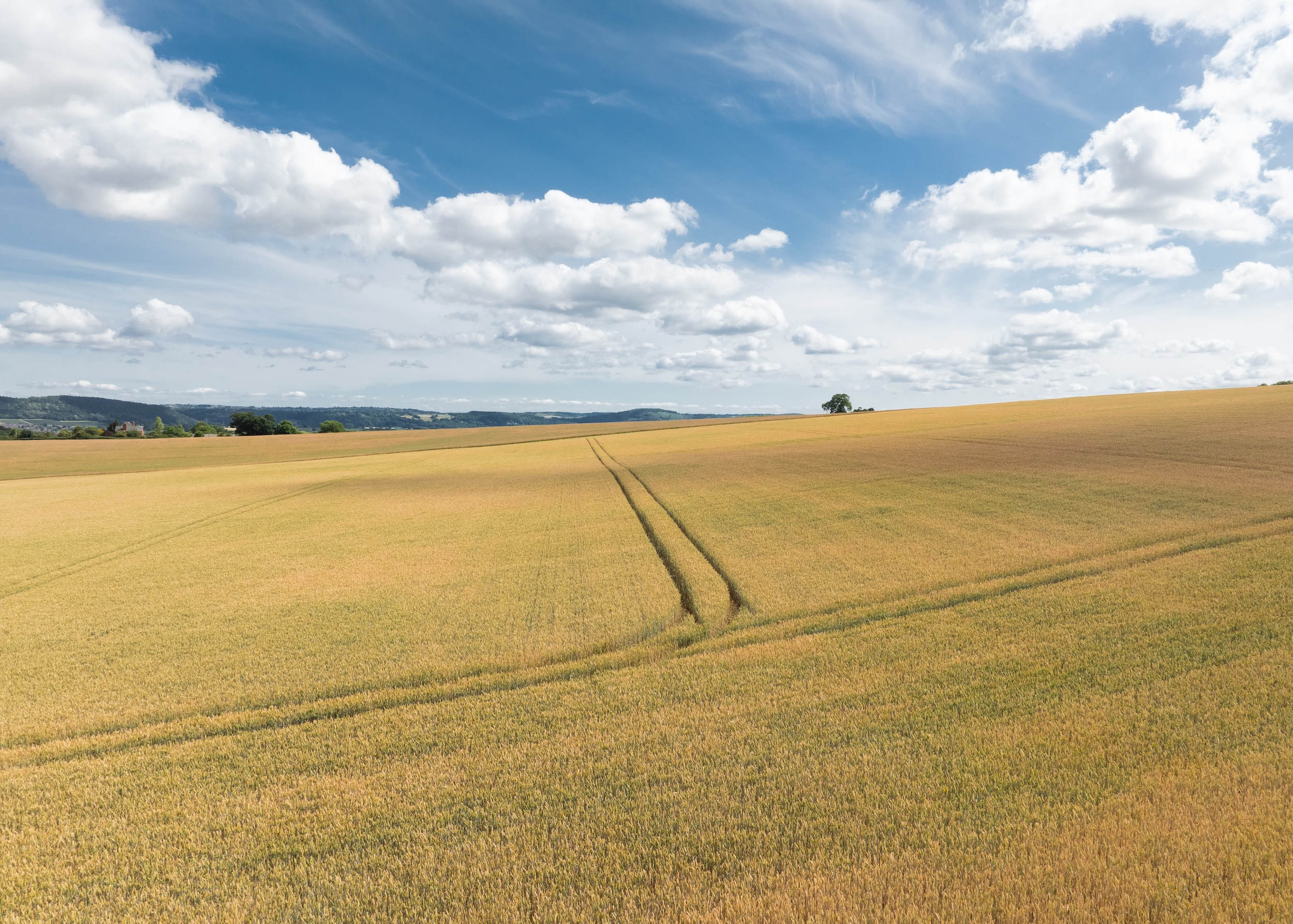 We collaborate with landowners and agents on opportunities that suit our approach. We collaborate with landowners and agents on opportunities that suit our approach.